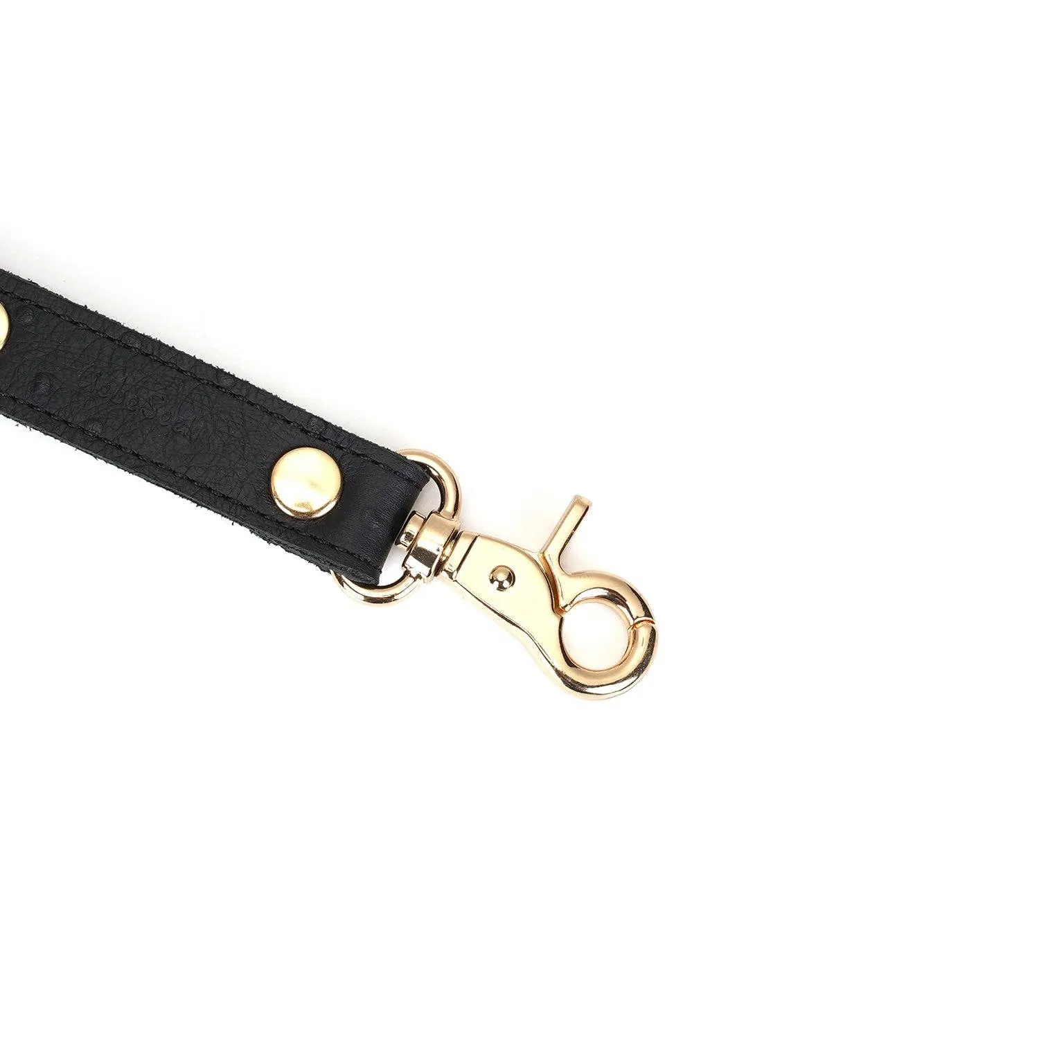 Demon's Kiss Black Leather Hog Tie