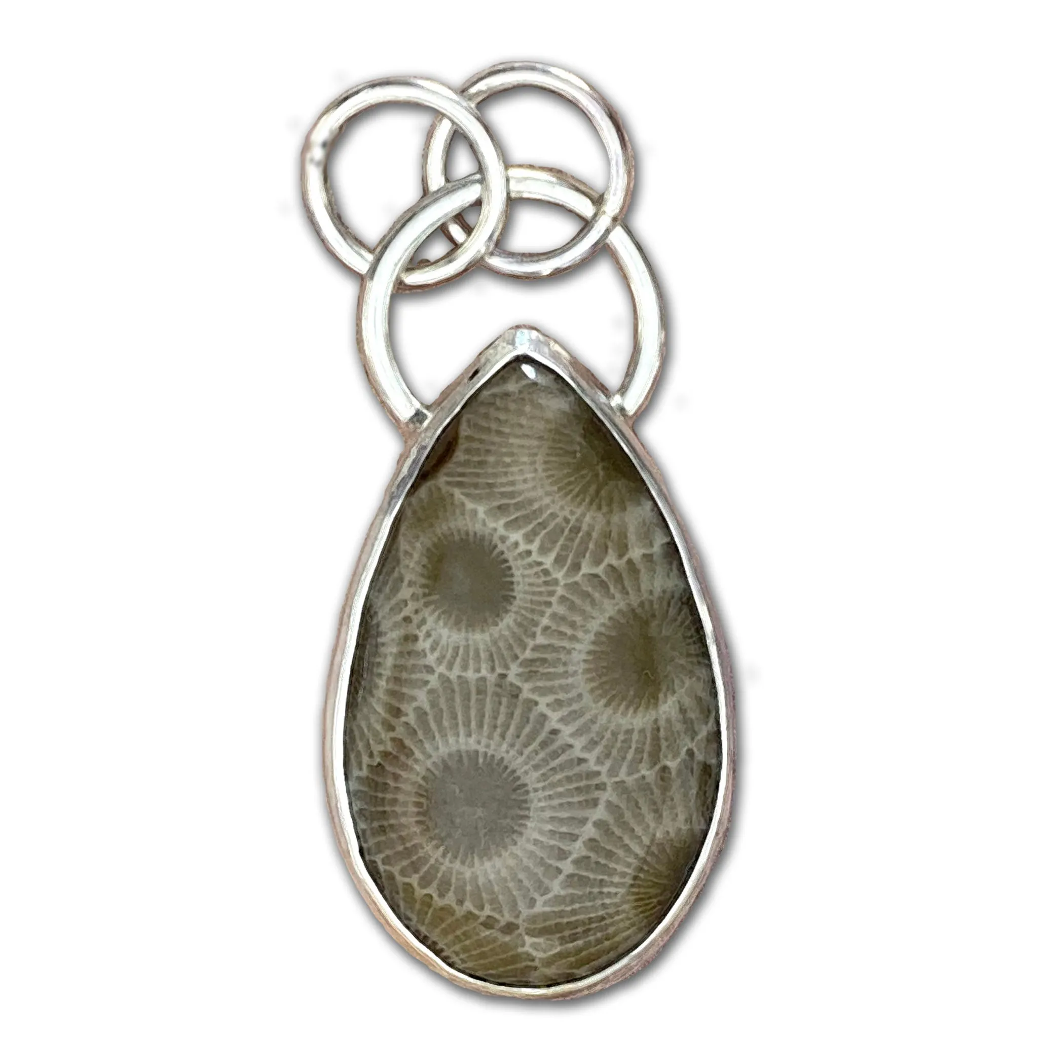 Petoskey Stone Teardrop Pendant